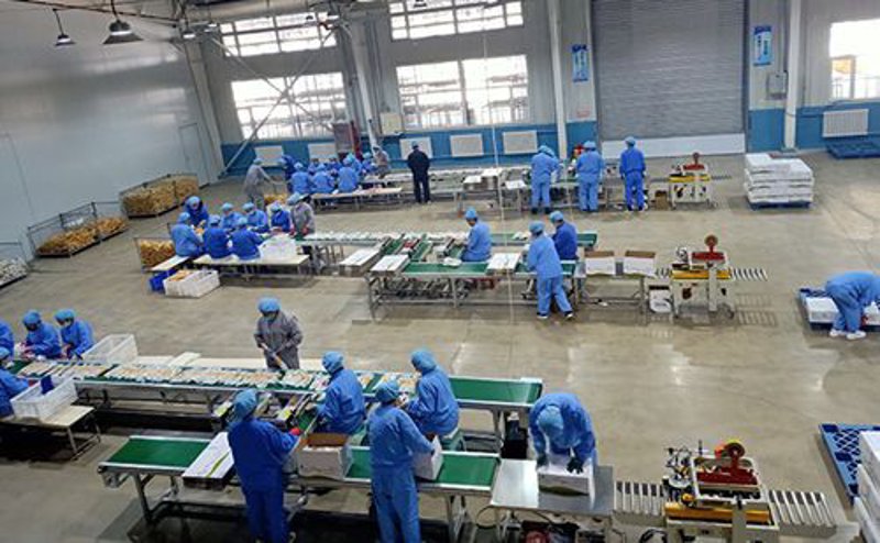 教育信息化成本解析：从硬件投资到软件应用